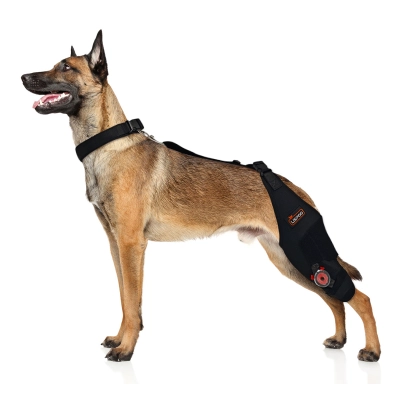 Adjustable Dog Acl Brace 02