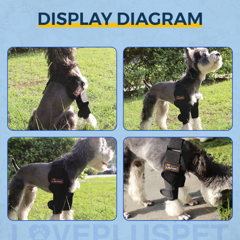 Dog Double Elbow & Shoulder Brace