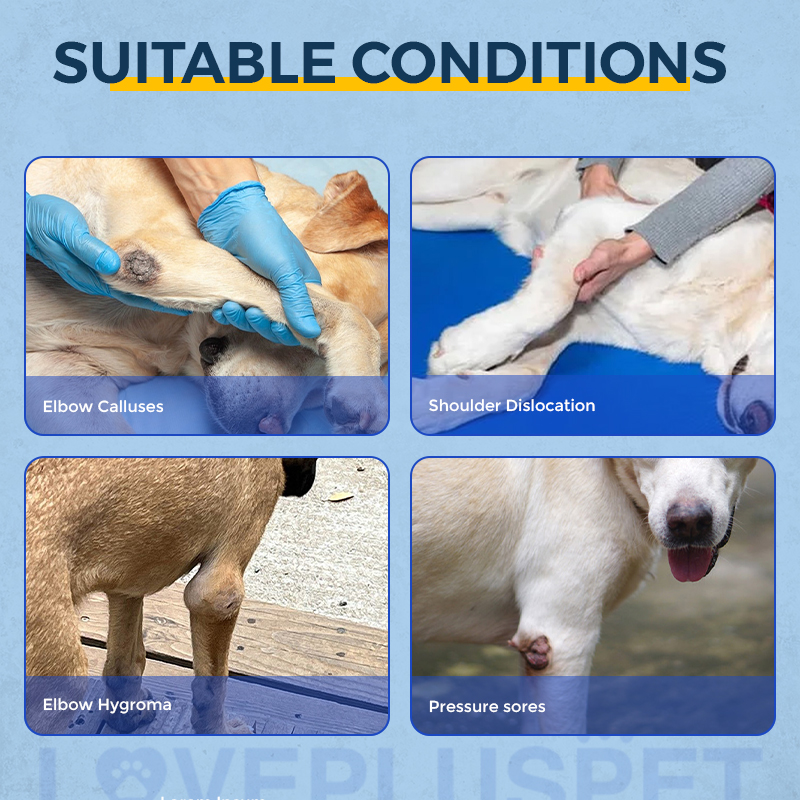 Dog Double Elbow & Shoulder Brace