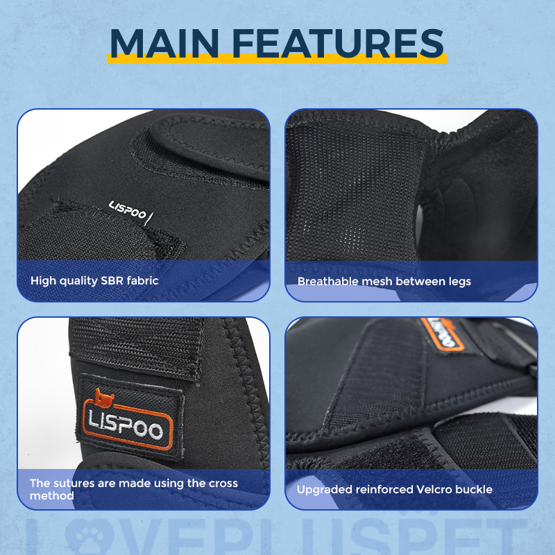 Dog Double Elbow & Shoulder Brace