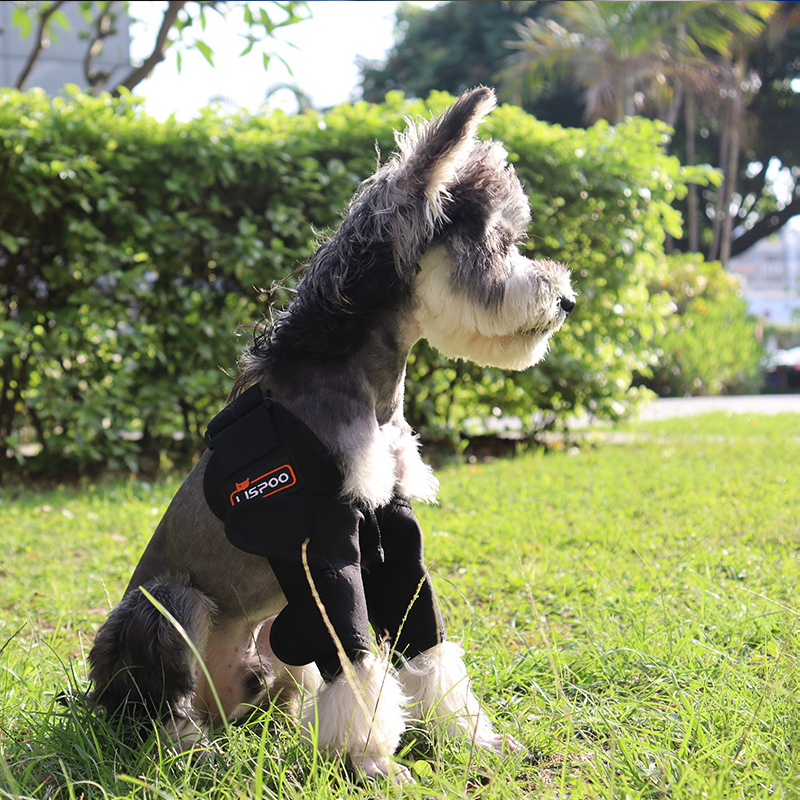 Dog Double Elbow & Shoulder Brace