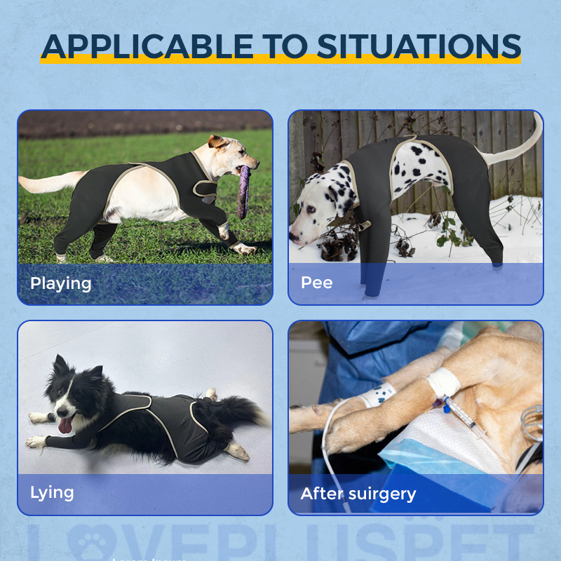 Anti Licking Full Body Dog Suit