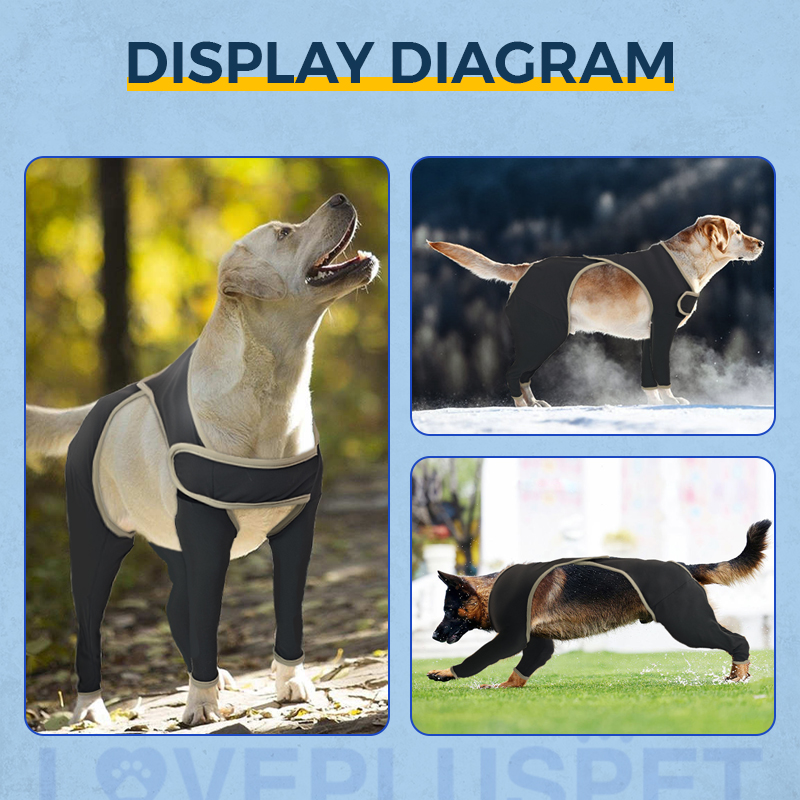 Anti Licking Full Body Dog Suit