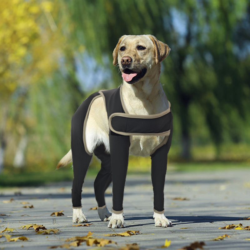 Anti Licking Full Body Dog Suit