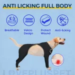 Anti Licking Full Body Dog Suit