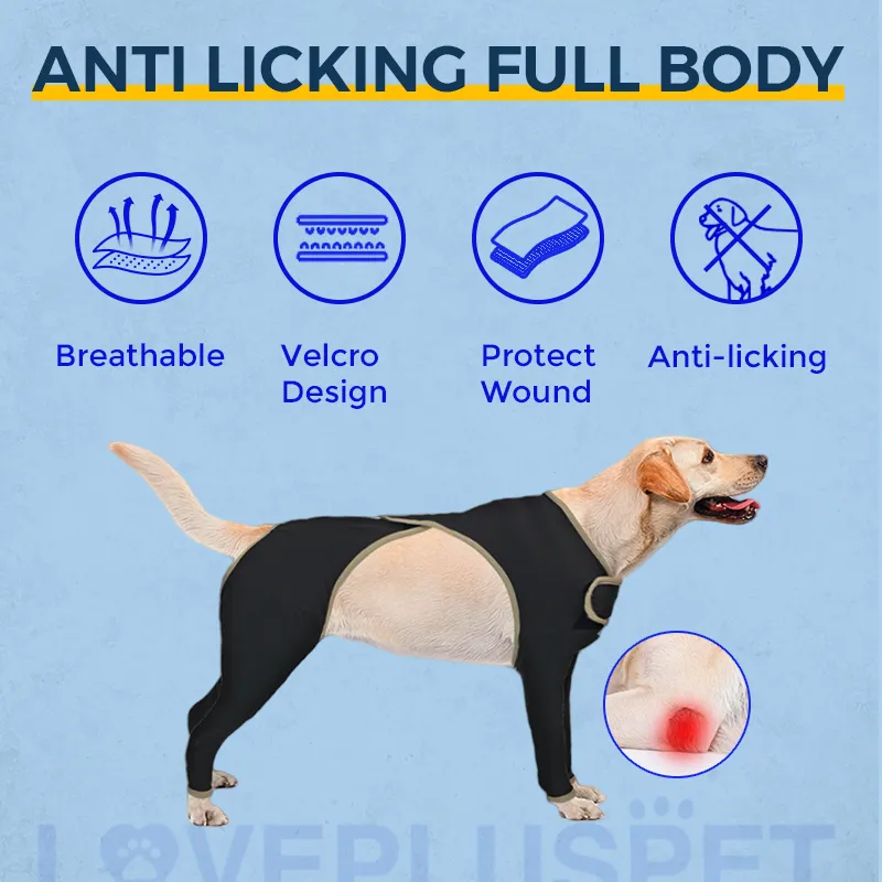 Anti Licking Full Body Dog Suit