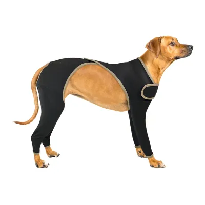 Anti Licking Full Body Dog Suit 01