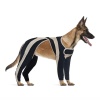 Licking Sleeve for Dogs