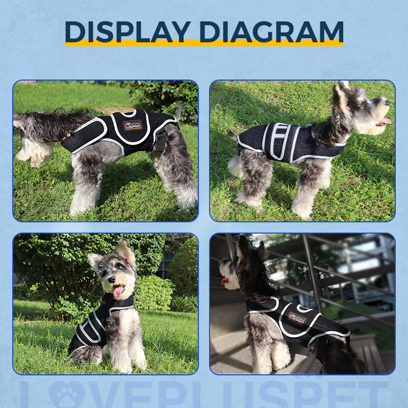 Dog Back Brace for IVDD