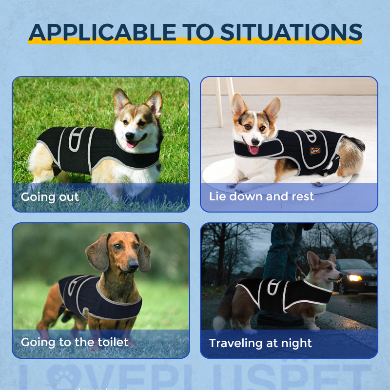 Dog Back Brace for IVDD