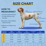 Adjustable Dog Acl Brace