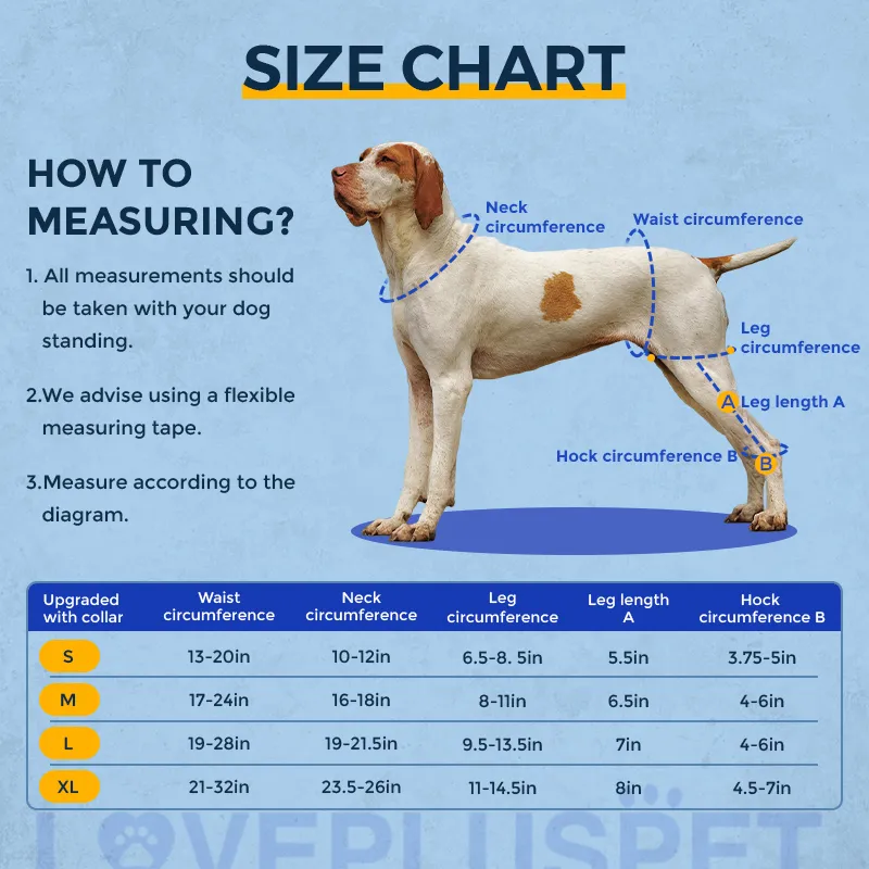 Adjustable Dog Acl Brace