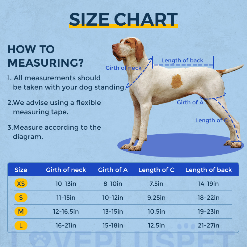 Licking Sleeve for Dogs Hind Leg