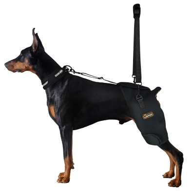 Dog Hip Dysplasia Brace for Dobermans 01