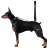 Dog Hip Dysplasia Brace for Dobermans