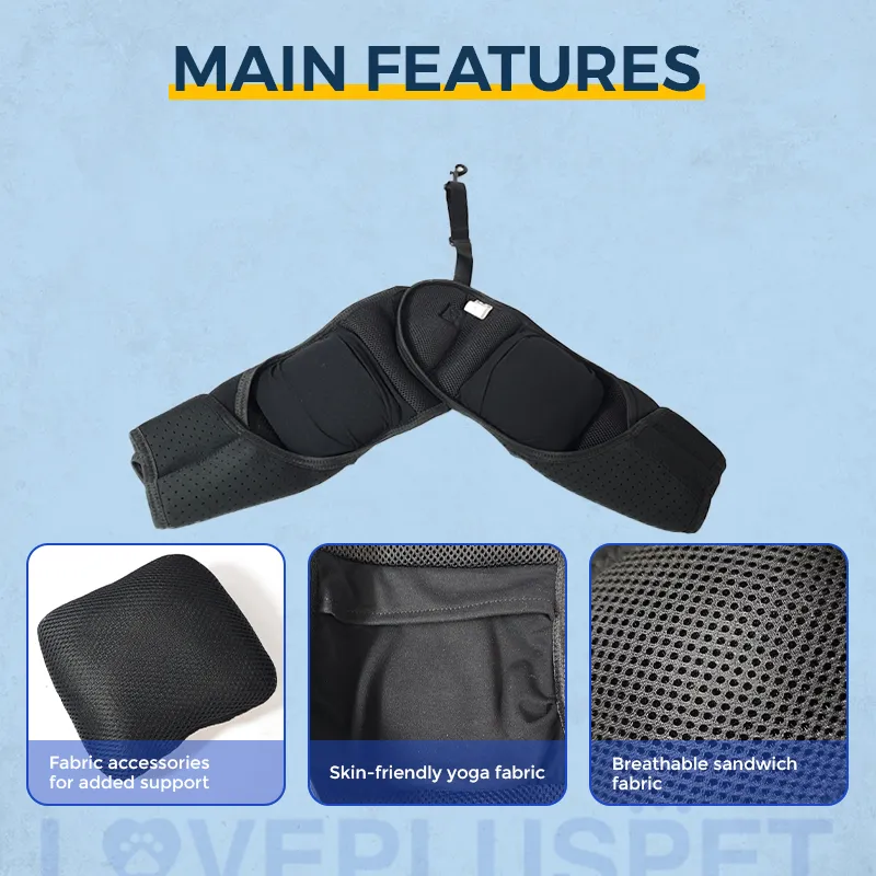 Dog Hip Dysplasia Brace for Dobermans