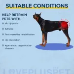 Dog Hip Dysplasia Brace for Dobermans