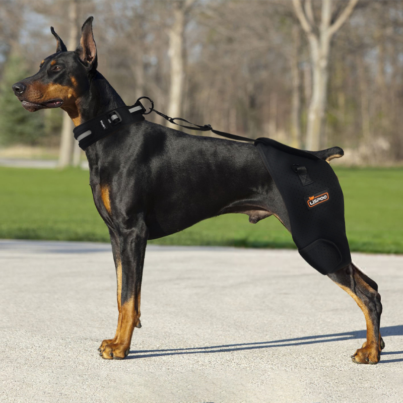 Dog Hip Dysplasia Brace for Dobermans