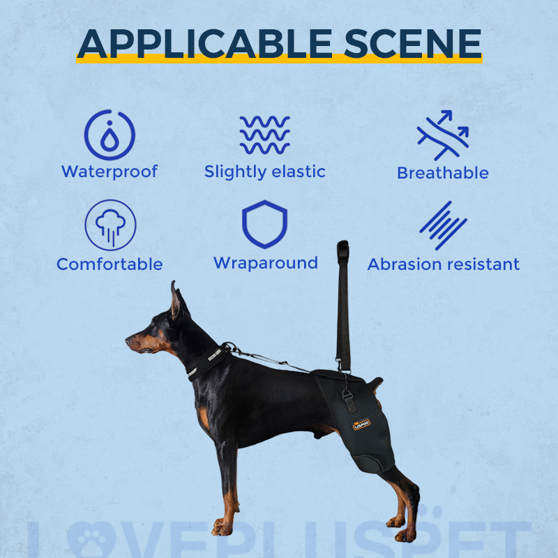 Dog Hip Dysplasia Brace for Dobermans