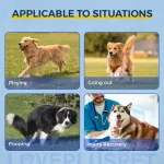 Dog Torn Acl Brace