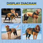 Dog Torn Acl Brace