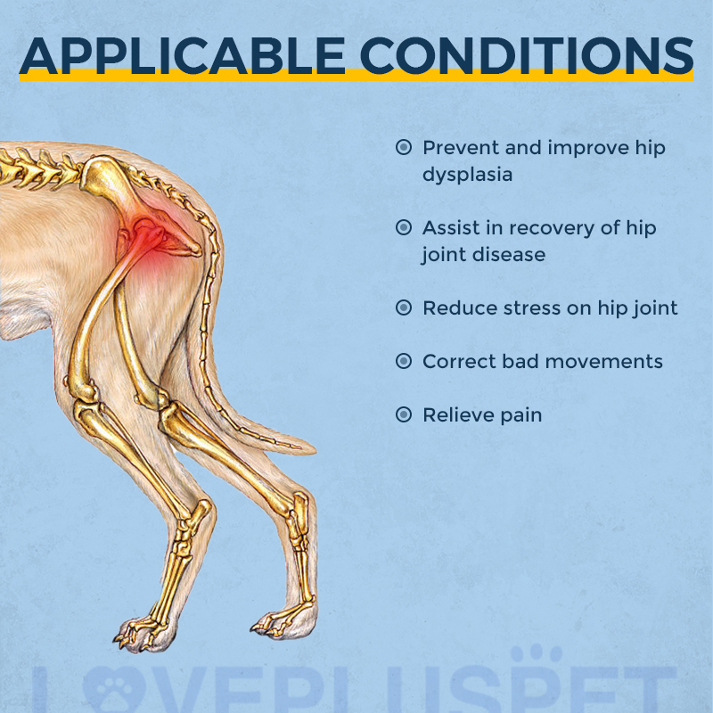 Dog Hip Brace for Hind Leg