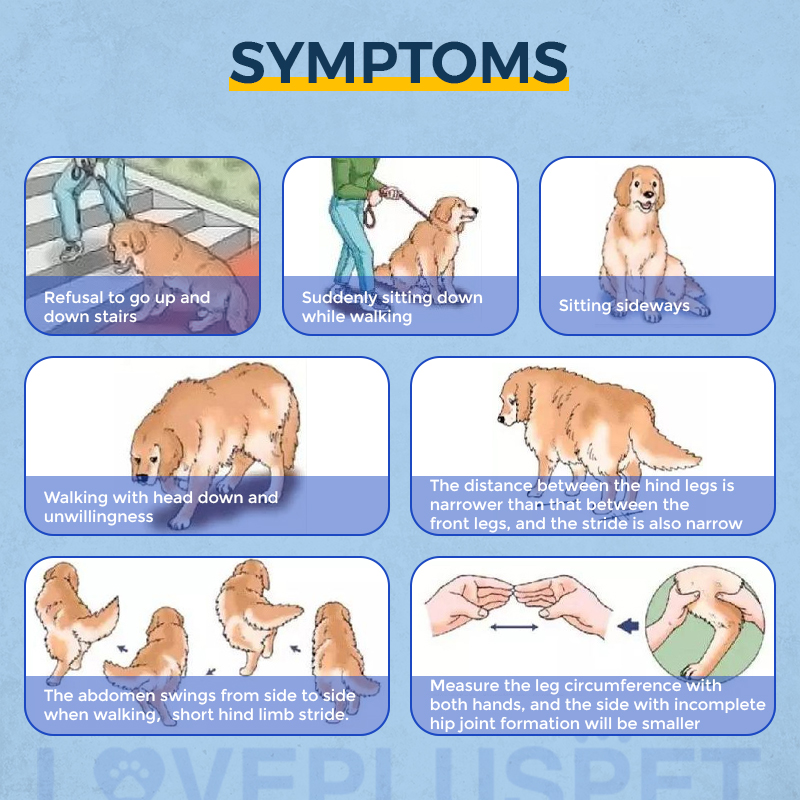 Dog Hip Brace for Hind Leg