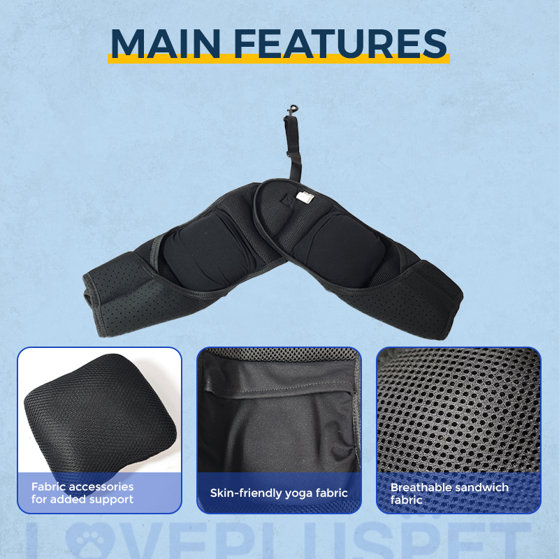 Hip Support Brace for Dobermans with Dysplasia