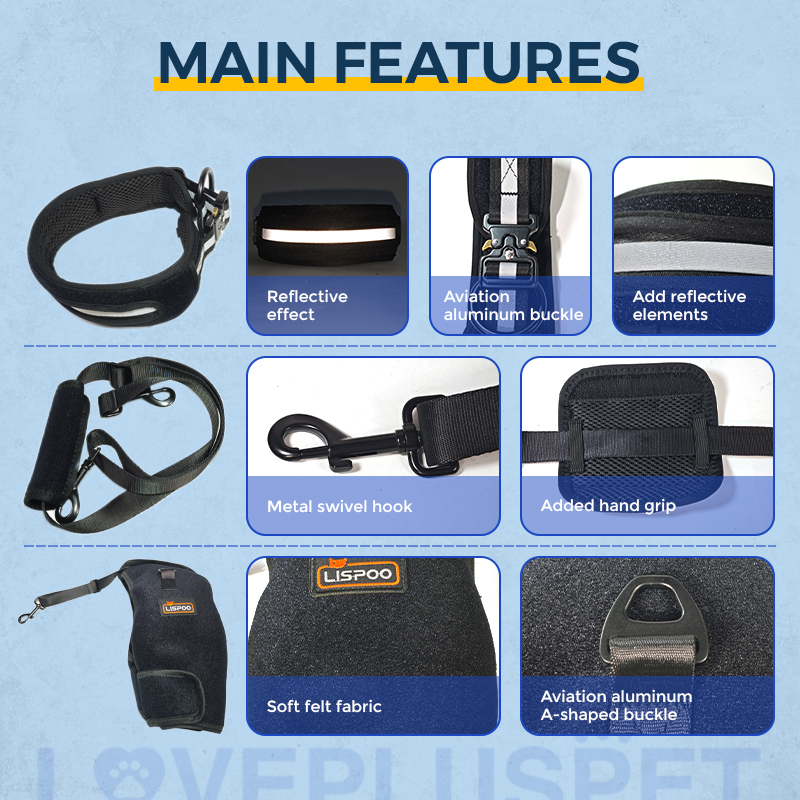 Hip Support Brace for Dobermans with Dysplasia