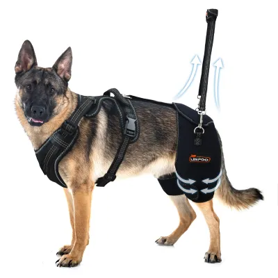 Dog Hip Support Brace for Dysplasia 01