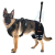 Dog Hip Support Brace for Dysplasia