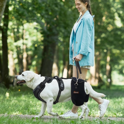 Dog Hip Support Brace for Dysplasia 02