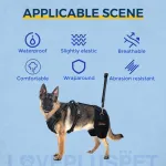 Dog Hip Support Brace for Dysplasia