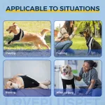 Licking Sleeve for Dog's Front Elbow