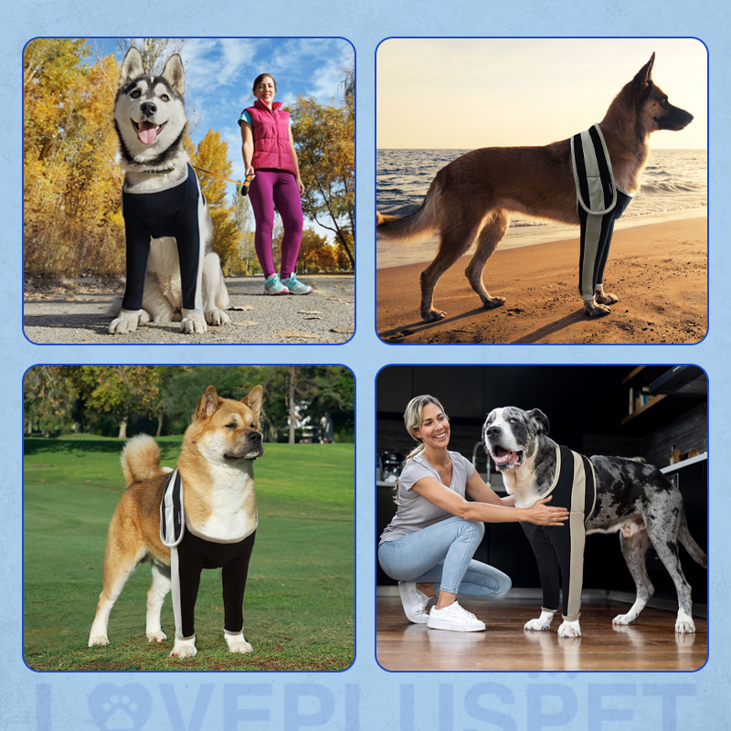 Licking Sleeve for Dog's Front Elbow