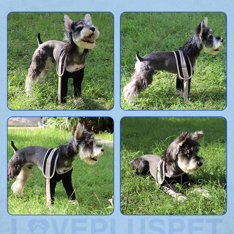 Licking Sleeve for Dog's Front Elbow