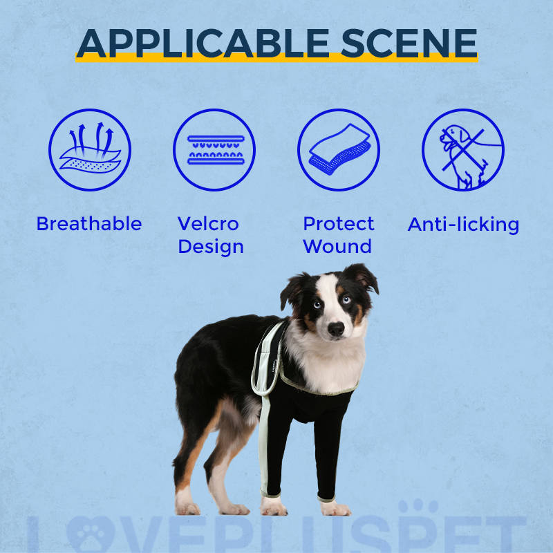 Licking Sleeve for Dog's Front Elbow