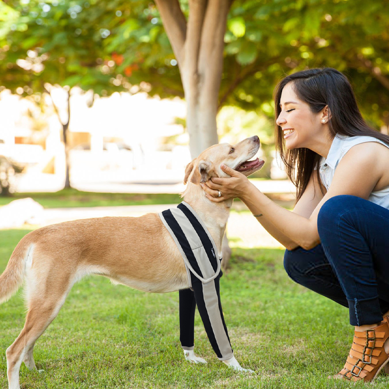 Licking Sleeve for Dog's Front Elbow