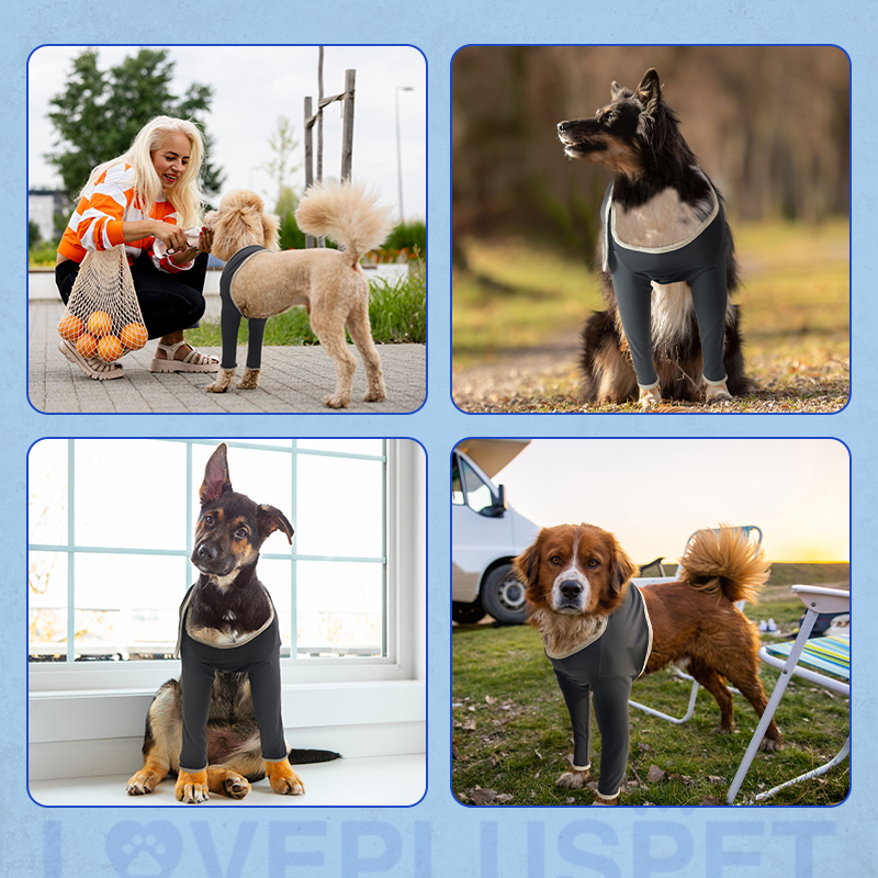 Front Leg Elbow Licking Sleeve for Dogs