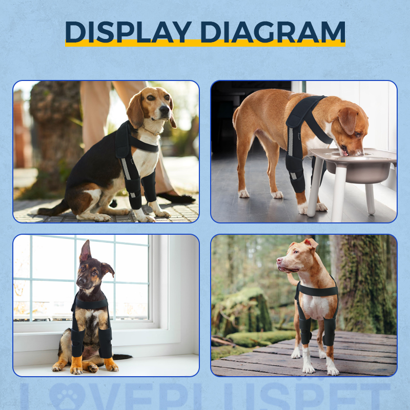 Hinged Dog Shoulder Support Brace