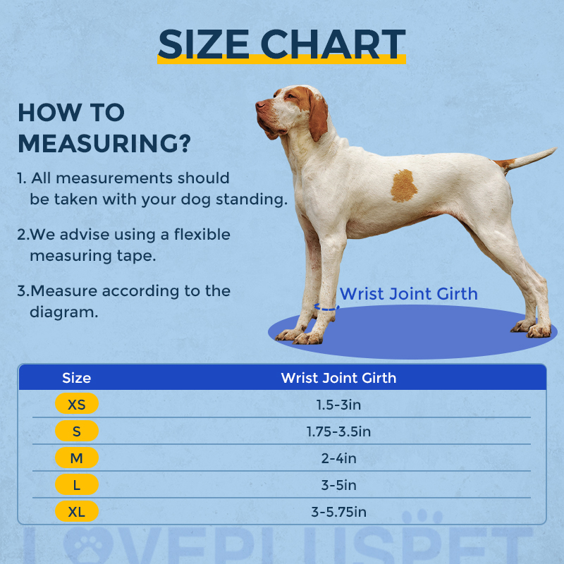 Dog Front Leg No-Knuckling Training Sock