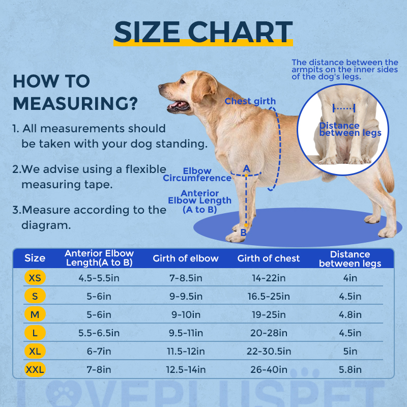 Dog Double Elbow & Shoulder Brace