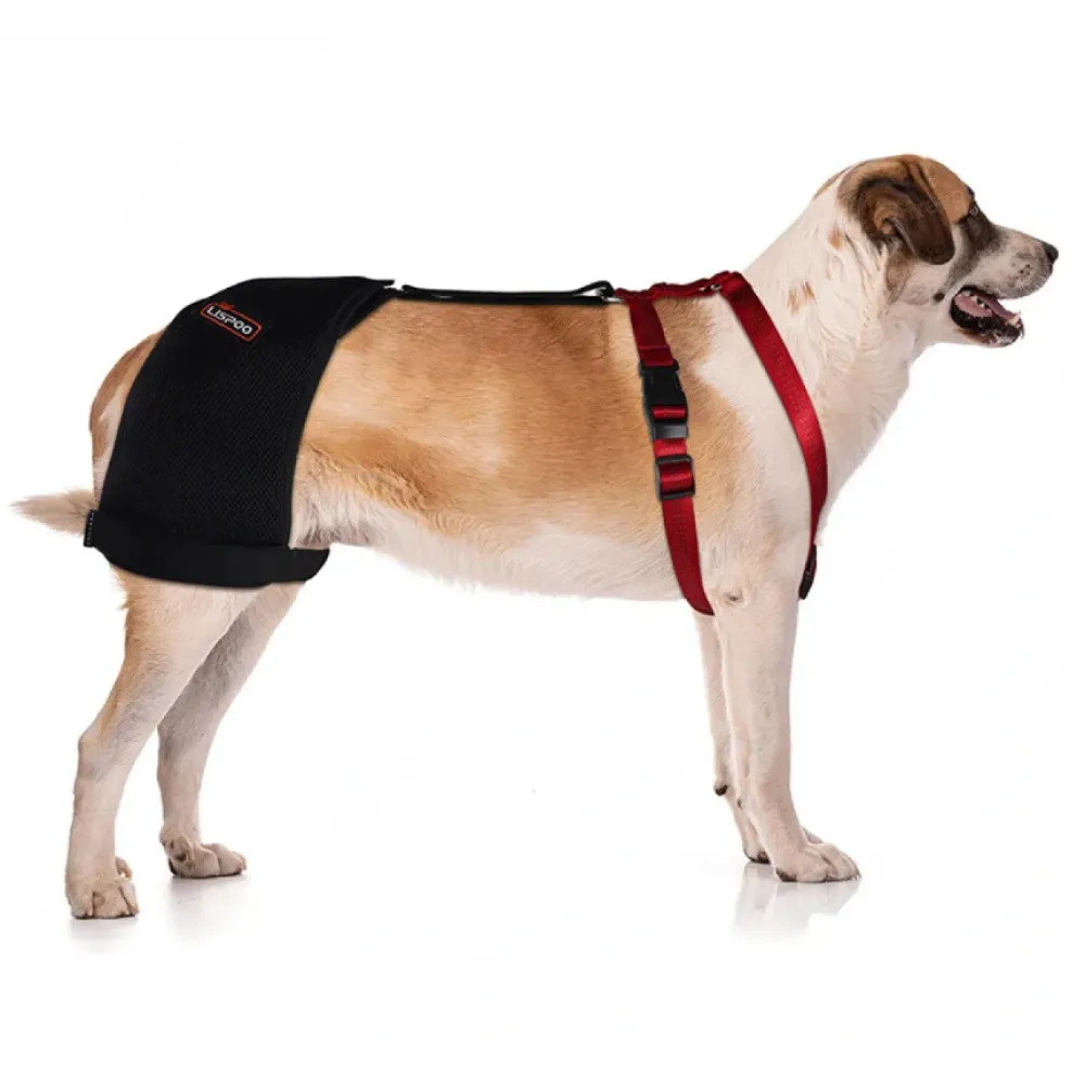 Best Dog Hip Dysplasia Support Brace For Sale LOVEPLUSPET