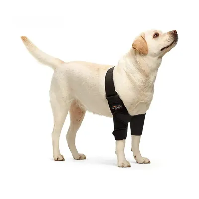 Dog Double Elbow & Shoulder Brace 01
