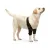 Dog Double Elbow & Shoulder Brace