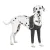 Front Leg Elbow Licking Sleeve for Dogs