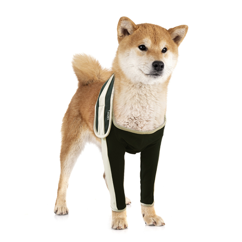 Licking Sleeve for Dog's Front Elbow