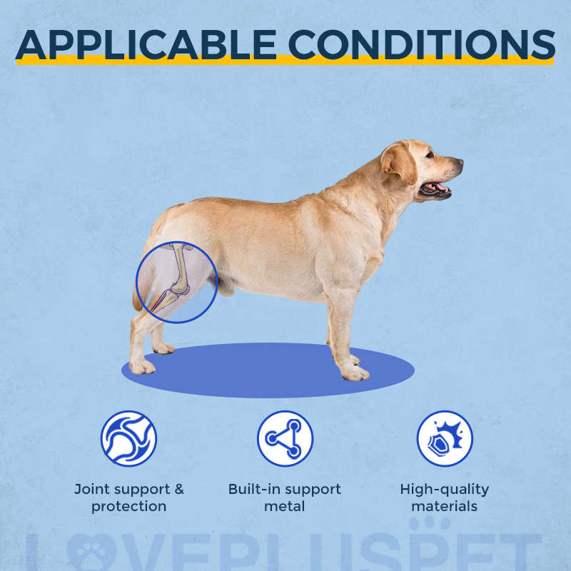 Dog Knee Brace with Metal Hinge Support for Acl