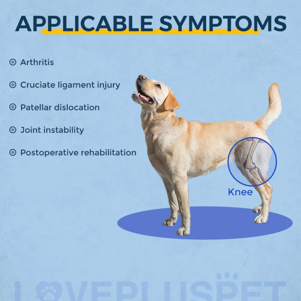 Dog Knee Brace with Metal Hinge Support for Acl