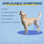 Dog Knee Brace with Metal Hinge Support for Acl